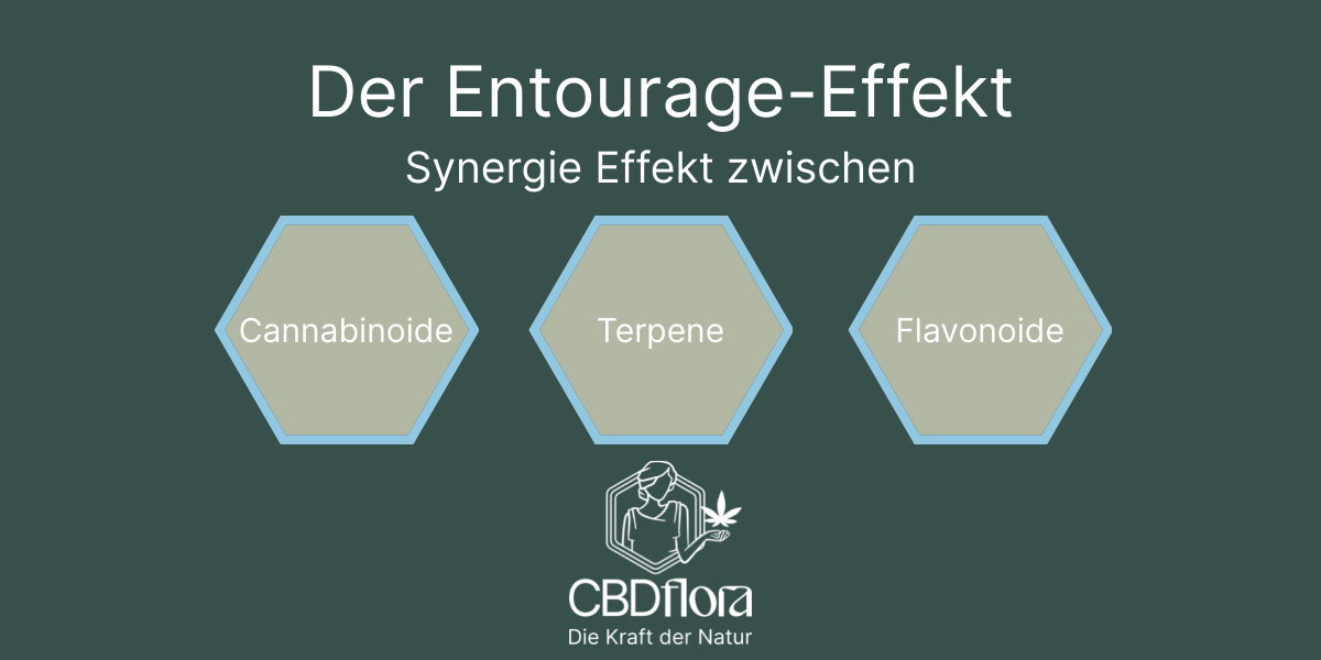 Blog-Header 1200x600 px