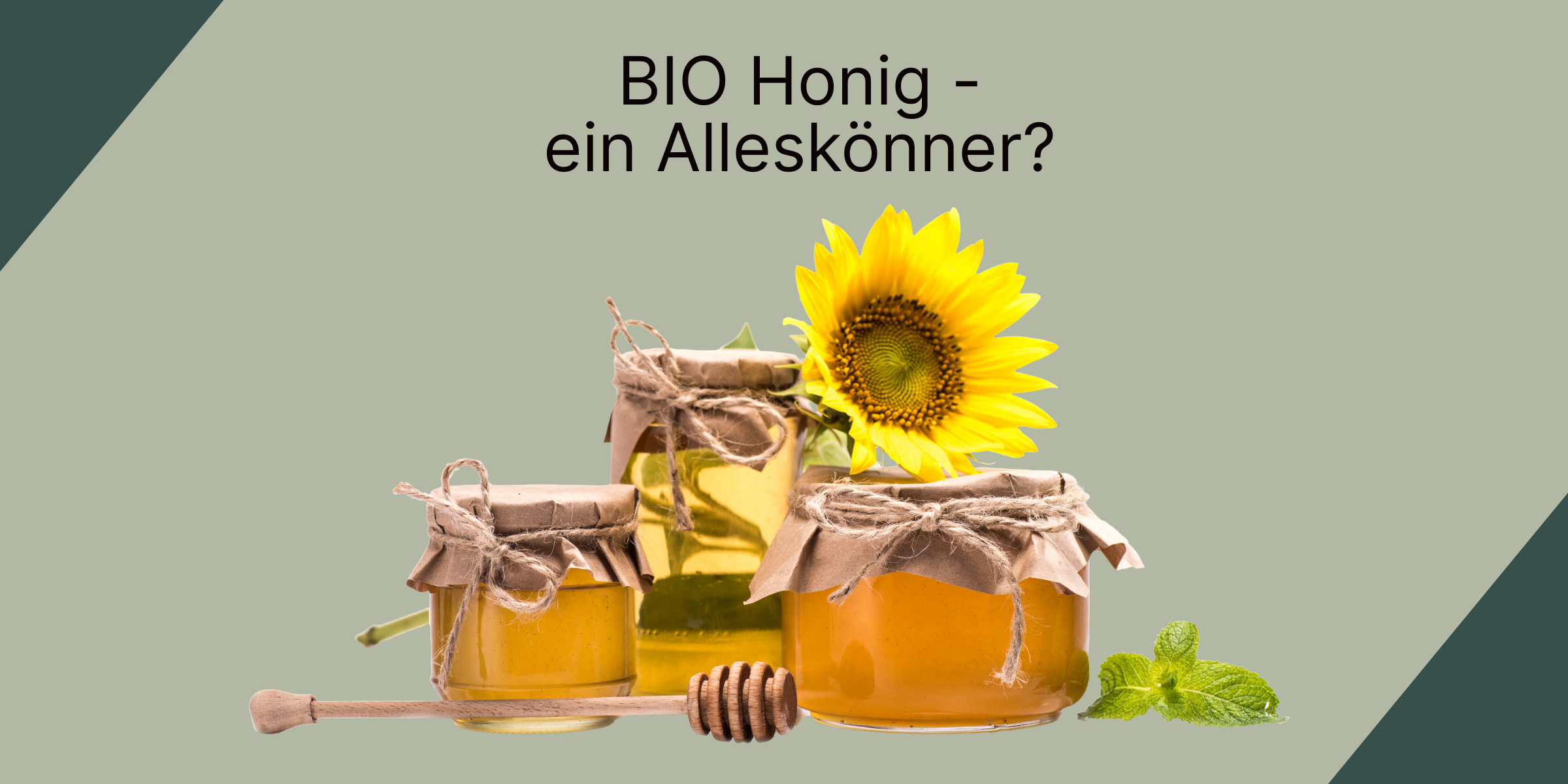Blog-Header 1200x600 px (3)